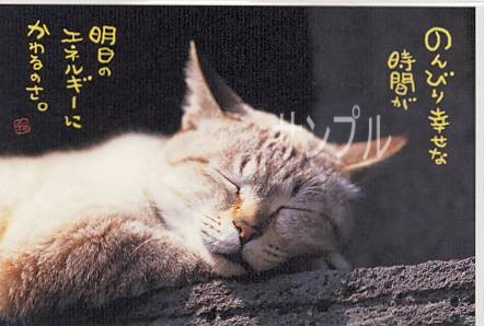 猫・ポストカード「のんびり幸せな時間が」