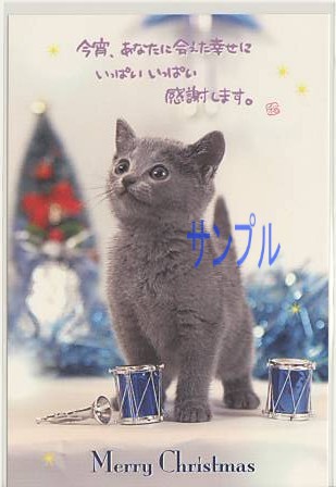 猫・ポストカード「あなたに会えた幸せに」