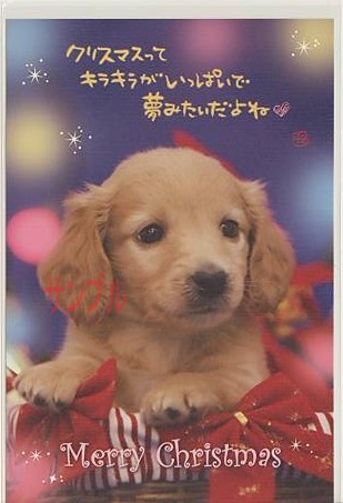 犬・ポストカード「クリスマスって」