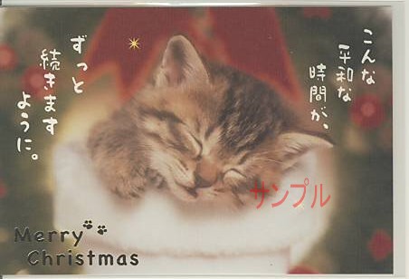 猫・ポストカード「平和な時間」