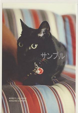 旅猫ノロ・ポストカード「イタリア（椅子）」