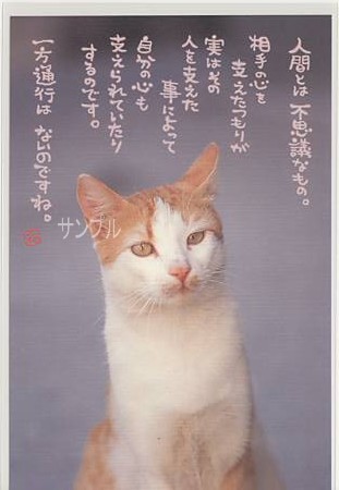猫・ポストカード「人間とは」