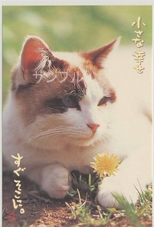 猫・ポストカード「小さな幸せ」