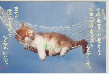 猫・ポストカード「心底幸せそうに」