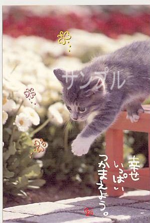 猫・ポストカード「幸せいっぱい」