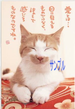 猫・ポストカード「愛とは・・・」
