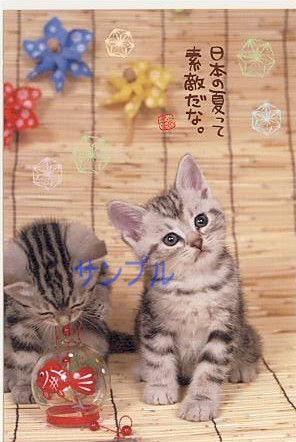 猫・ポストカード「日本の夏って」