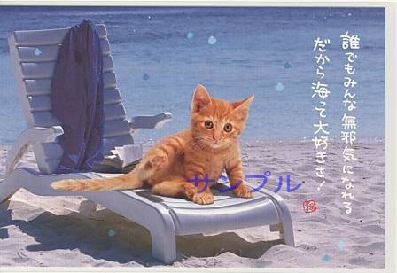 猫・ポストカード「だから海って大好きさ！」