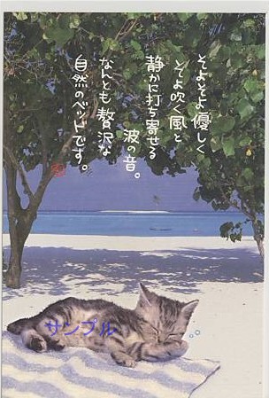 猫・ポストカード「贅沢な自然のベッド」