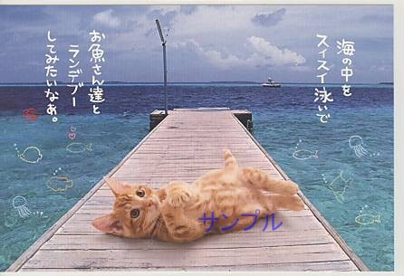 猫・ポストカード「海の中をスイスイ泳いで」