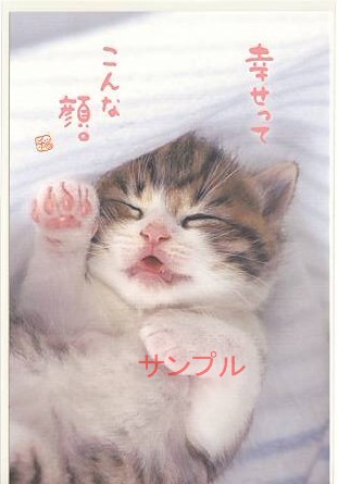 猫・ポストカード「幸せってこんな顔。」