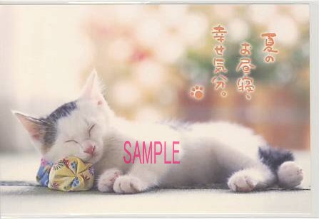 猫・ポストカード「夏のお昼寝」