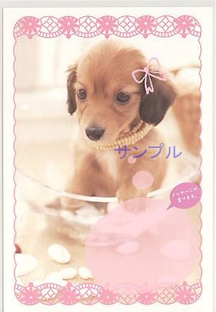 犬・ポストカード（メッセージ欄付）
