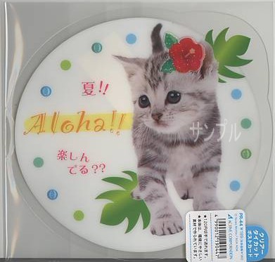 猫・ダイカットPETポストカード「夏！！楽しんでる？？」