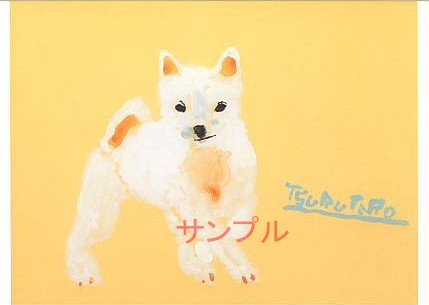片岡鶴太郎・ポストカード「紀州犬」